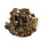 Baiya Qilan - Whitetooth Beautiful Orchid 8g