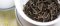What is a tea plant and tea culture?