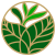 Wuliang gushu baicha 2025 :: TeaBar Wuliang gushu baicha 2025 :: TeaBar