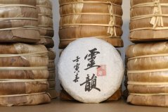 Mangshui gushu Lingyun | The fairy poetry 2021