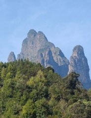 Shengtang shan gushu hongcha 圣堂山古树红茶