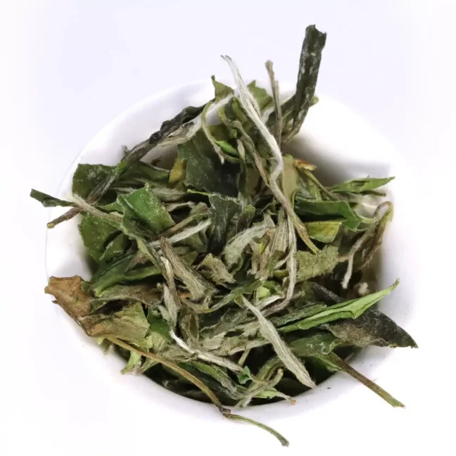 Bai Mu dan Gaocong