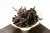 Wuyi Rougui Guiman Danxia / Wuyi Red sandstone cinnamon oolong