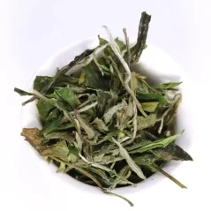 Bai-Mu-dan Gaocong