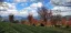 2025 Yunnan - Wuliang mountain Ruanzhi wulong
