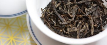 What is a tea plant and tea culture?