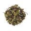 Wuliang gushu baicha 2025