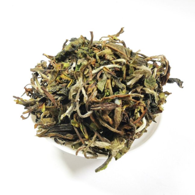 2026 Darjeeling FF Rohini Jethi Kupi